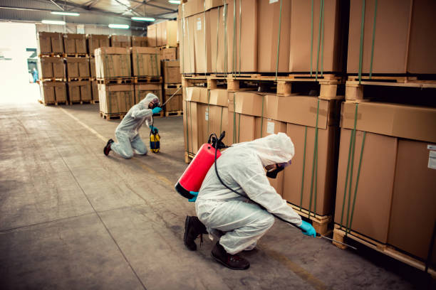 Best Wasp Removal Services  in Mount Vernon, OH