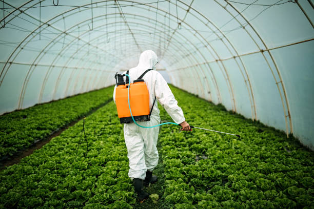Best Mosquito Control Services  in Mount Vernon, OH