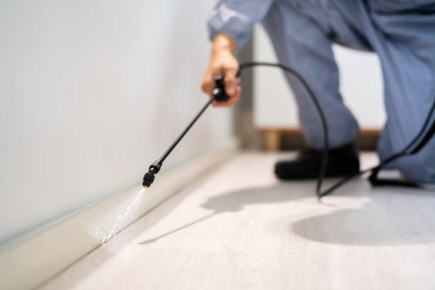 Professional Pest Control in Mount Vernon, OH