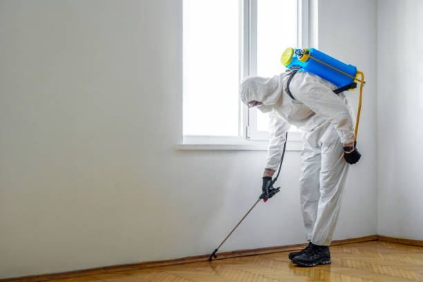 Best Cockroach Control Services  in Mount Vernon, OH
