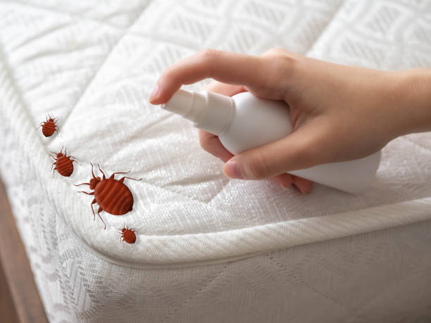 Best Pest Control Near Me  in Mount Vernon, OH