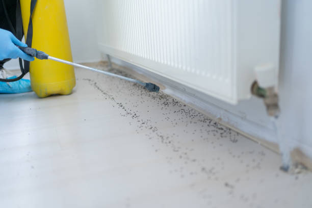 Pest Control for Restaurants in Mount Vernon, OH