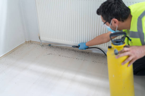 Best Pest Inspection Near Me  in Mount Vernon, OH