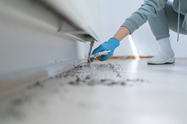 Best Pest Removal Services  in Mount Vernon, OH